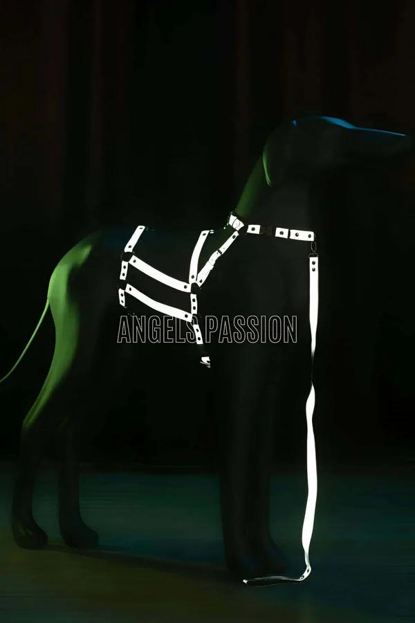 Reflektörlü Ayarlanabilir Şeritli Vücut Harness