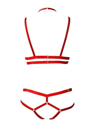 3 Parça Seksi Harness Sütyen Takım - APFT144