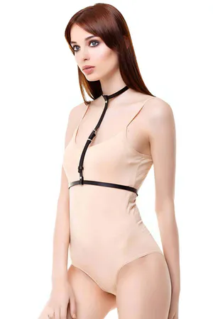 Tek Sıralı Boyun Bel Deri Harness - APFT188