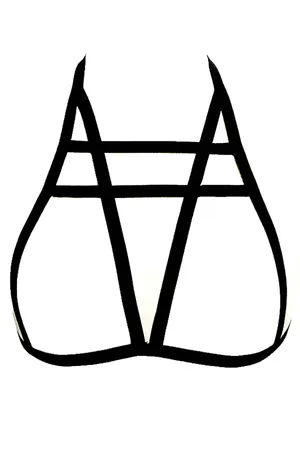 Özel Tasarım Harness - APFT96