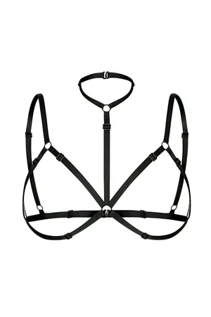 Günlük Kullanma Uygun Seksi Harness - APFT42