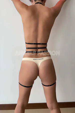 Lastik Jartiyer Harness