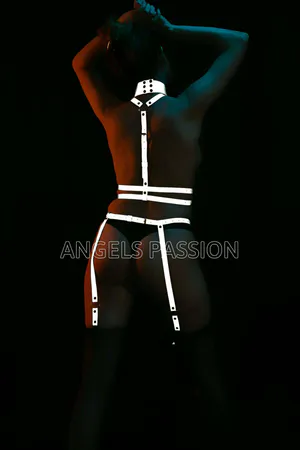 Özel Reflektörlü Tasmalı Jartiyer Takım Harness - APFT233