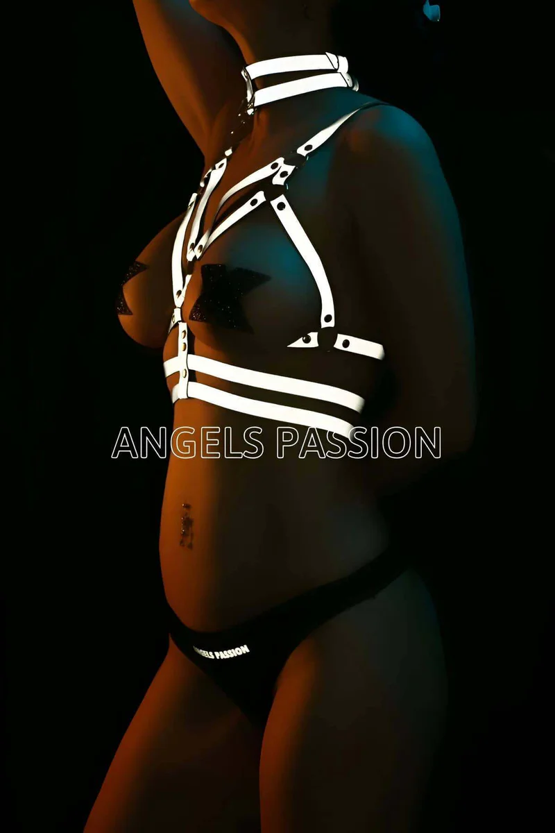 Reflective Chest Harness Front View Silver Straps with Buckle Detail
