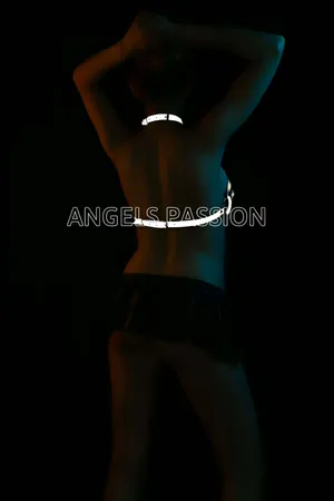 Karanlıkta Parlayan Seksi Reflektörlü Sütyen Harness - APFT224