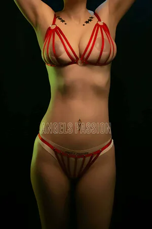 Red Caged Strappy Harness Bra and Thong Set Elastic Lingerie