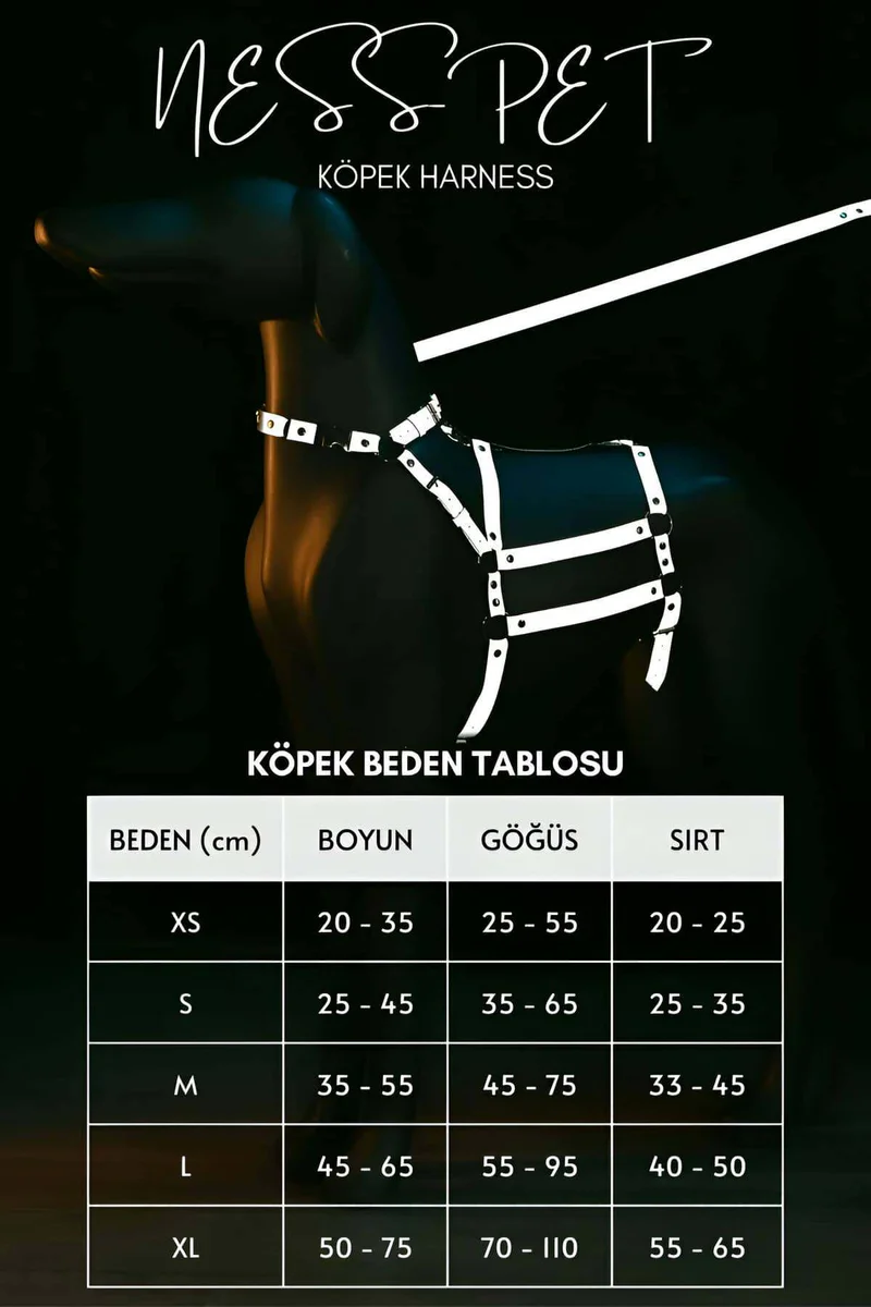 Adjustable Reflective Nylon Harness Back View Straps Configuration