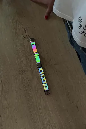 Kedi Harness , Reflektörlü Boyun Tasması - NPC002