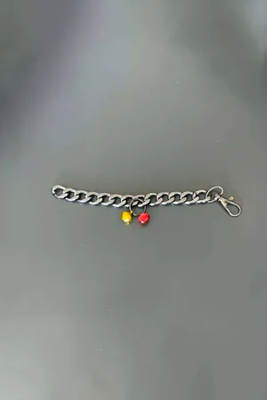 Rapçi Kedi Tasması, Zincir ve Zilli Kedi Tasması - NPC012