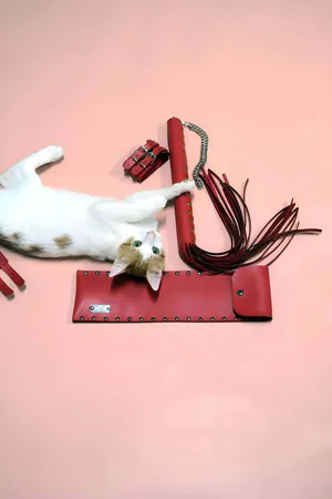 Kırbaç - Kelepçe Set, Kırbaç Takım, Fantezi Kelepçe Takım - APFT1304