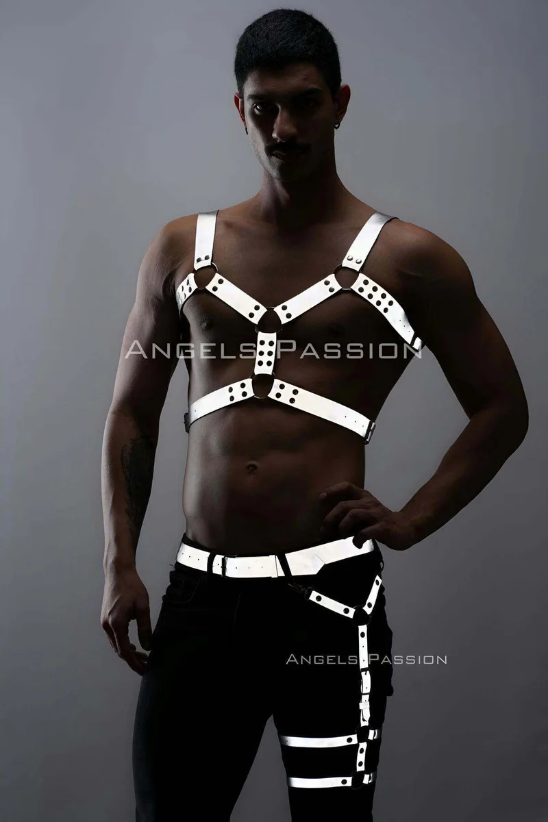 Reflective harness set chest detail silver straps