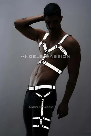 Reflective chest and leg harness set silver straps