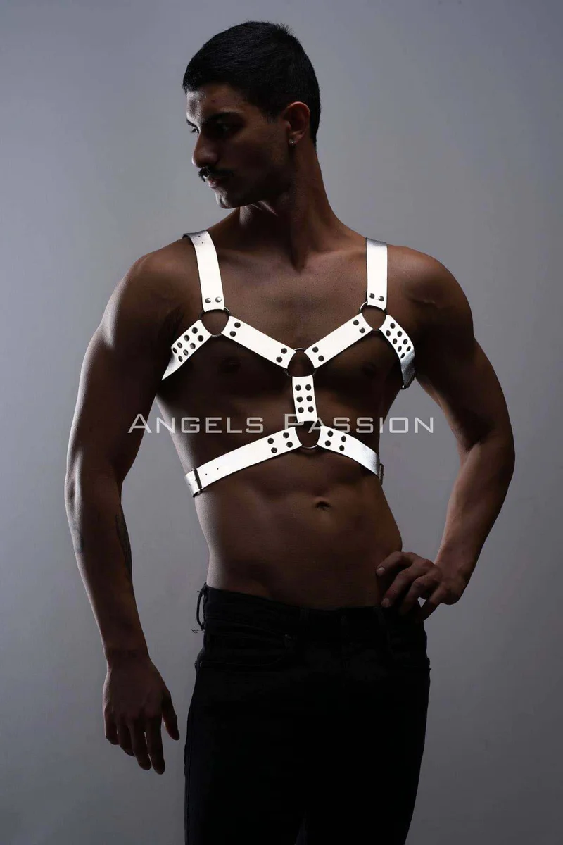 Reflective chest harness silver O-ring accents full torso view