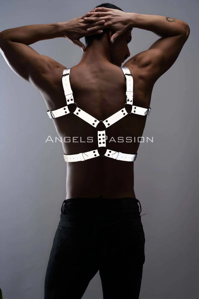 Silver reflective chest harness with O-ring accents showcasing back straps