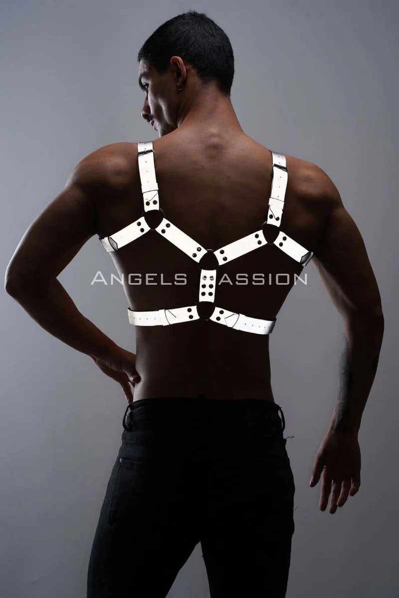 Silver reflective chest harness with metal O-ring accents showing back view