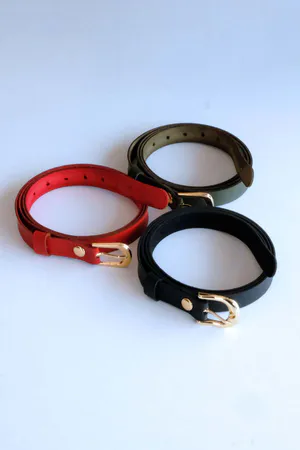 Slender Faux Leather Waist Belt Trio Black Red Olive Buckles