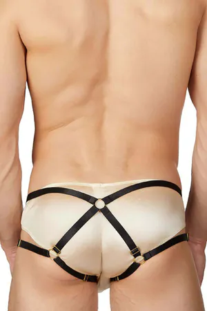 Fantazi Erkek Lastik Harness - APFTM217