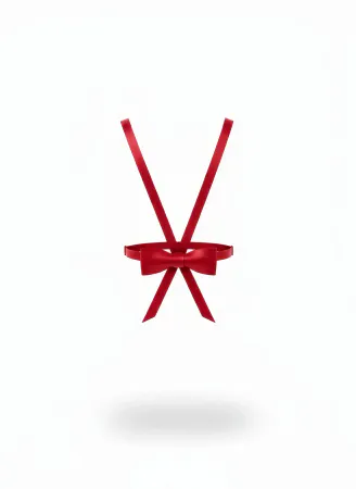 Red Satin Ribbon Harness with Bow Detail, Adjustable Straps